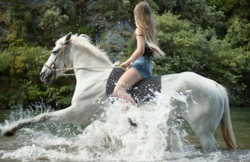 Capture cheval